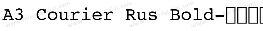 A3 Courier Rus Bold字体转换